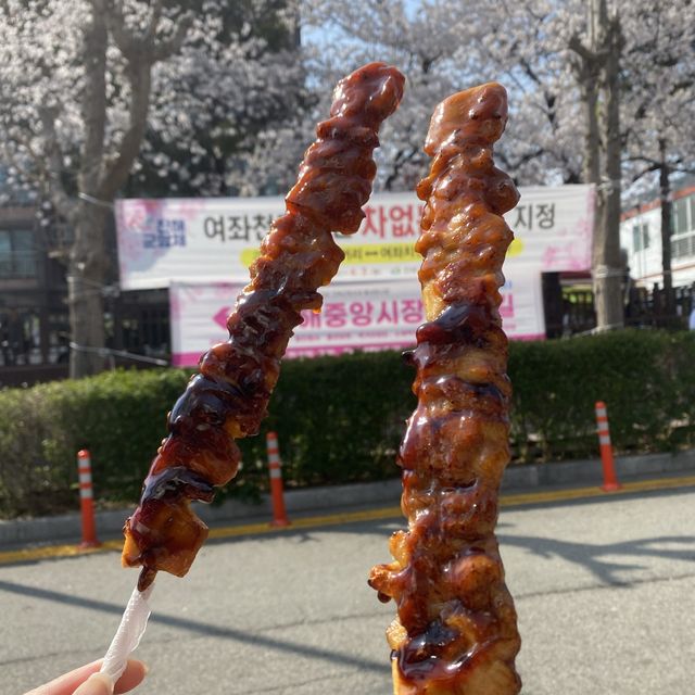 [진해 군항제] 와 올해도 역시 군항제 최고네요🌸 벚꽃은 “군항제”로