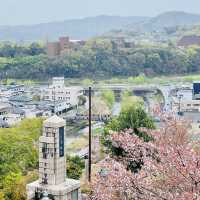 津山城（鶴山公園）賞櫻