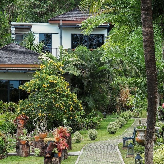 The Mangrove by BLU Monkey ที่พักสวยติดทะเล
