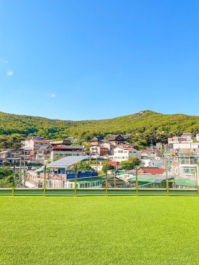 마운틴뷰 대형카페⛰️