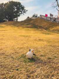 부산에 있는 텔레토비 동산💚