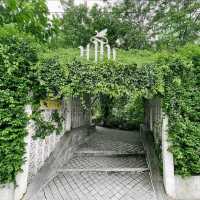 ร้านคาเฟ่สไตล์ในสวนกลางใจเมือง - ขมิ้น
