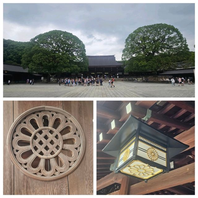 參拜人數日本第一！東京必去「明治神宮」⛩️🎎