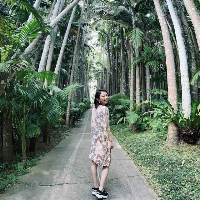 📍 美らヤシパークオキナワ・東南植物楽園/沖縄