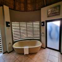 A Safari Staycation At Pilanesburg Safari