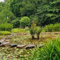 ASEAN Heritage Park - Sungei Buloh Wetland