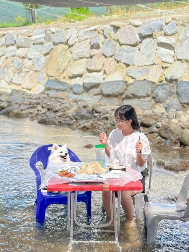 우리집 아이도, 강아지도 모두 즐거운 계곡 맛집 추천🩵 