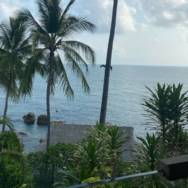 พลาดไม่ได้ใครไปสมุยต้องพักที่นี่ coral cliff beach