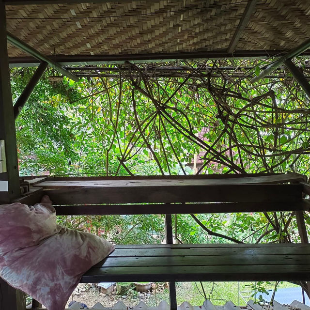 📍บ้านๆ น่านๆ Banban Nannan Library and Guest Home