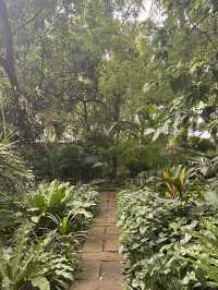 Yellow Lane คาเฟ่ในสวนใจกลางอารีย์ 