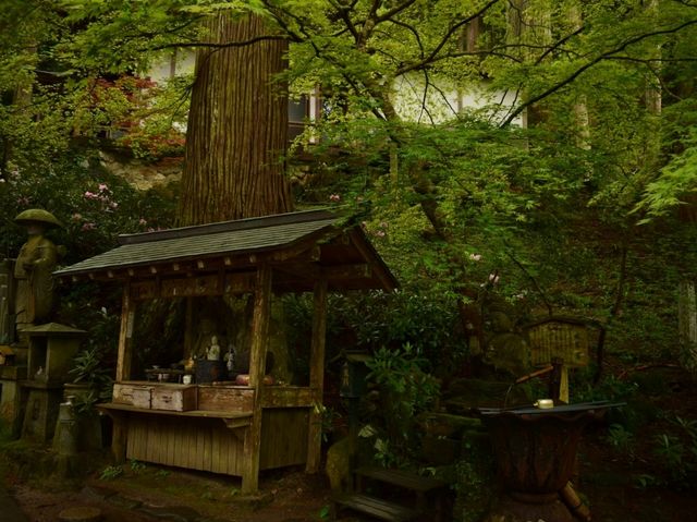 日本最危險國寶 鳥取三德山三佛寺 投入堂