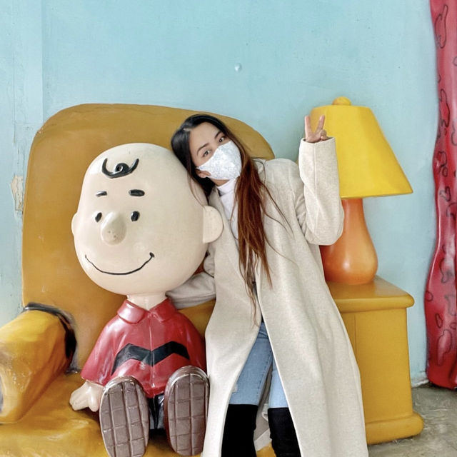 Snoopy’s world 