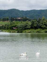 🌱One Day Trip ที่ไร่สิงห์ปาร์ค เชียงราย