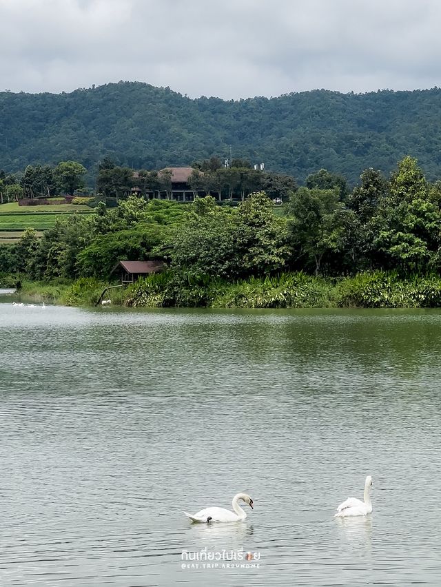 🌱One Day Trip ที่ไร่สิงห์ปาร์ค เชียงราย