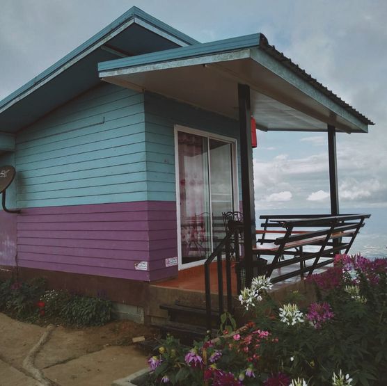 ภูทับเบิก 🌿🌻🌸🌦