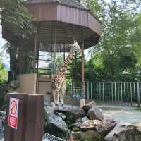 National Zoo -  Kuala Lumpur