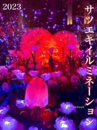北海道　札幌観光　いよいよ開催！札幌ホワイトイルミネーション！