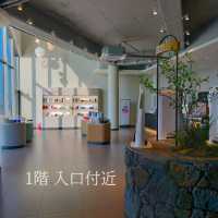 韓国済州島・海が見える絶景Cafe