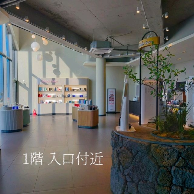 韓国済州島・海が見える絶景Cafe