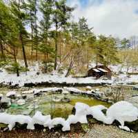 西の河原公園の雪景色〜群馬•草津