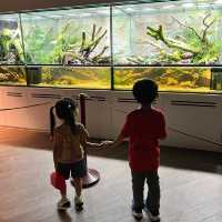新加坡動物園 singapore zoo - 很適合小朋友去的景點