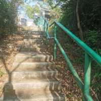坪洲:手指☞山