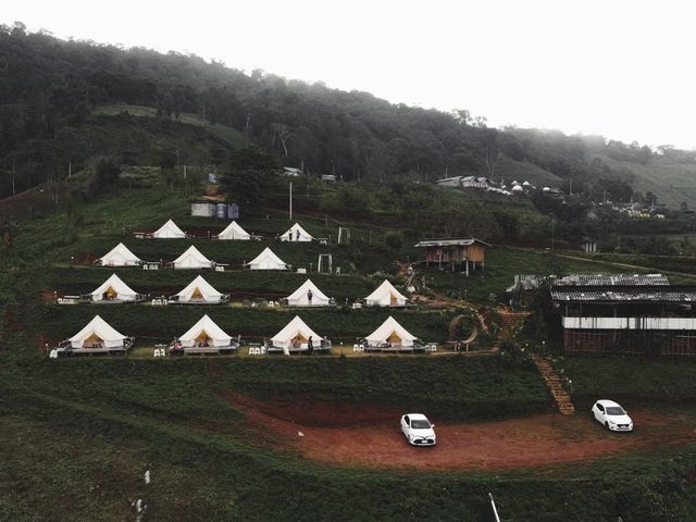 CAMP Phuchifa แคมป์ภูชี้ฟ้า 