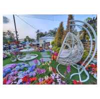 環球賞花。2023花卉展