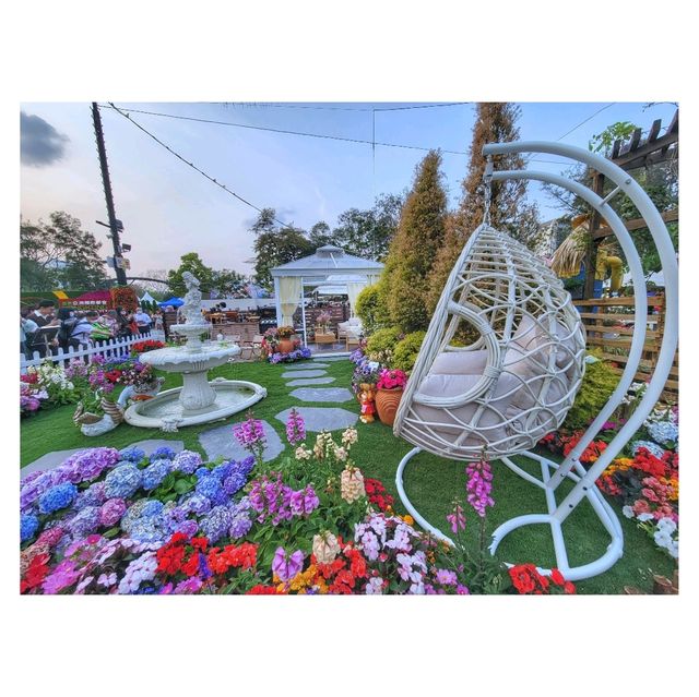 環球賞花。2023花卉展