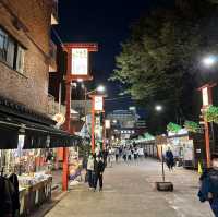 【東京】夜遅くの浅草寺さんぼ