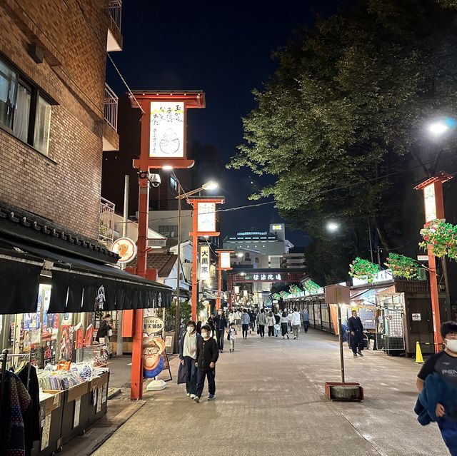 【東京】夜遅くの浅草寺さんぼ