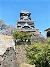 絕對要去❤️🇯🇵熊本城