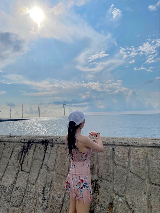 제주도에서 바다 수영하고 싶은 사람? 여기로!💙 