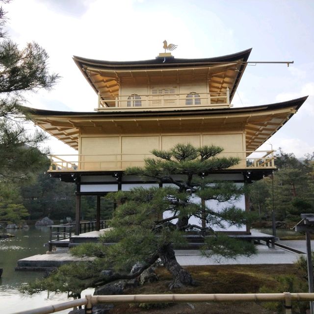 京都Kyoto古色古香💜鹿苑寺、抹茶、好吃草莓蛋糕