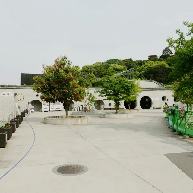 與動物園並設的「福岡市植物園」