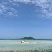야자수가 드리운 얕은 해변 금능해수욕장🌴🌊