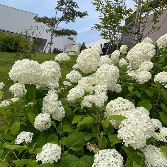 植栽とスヌーピーがいっぱい【グランベリーパーク】