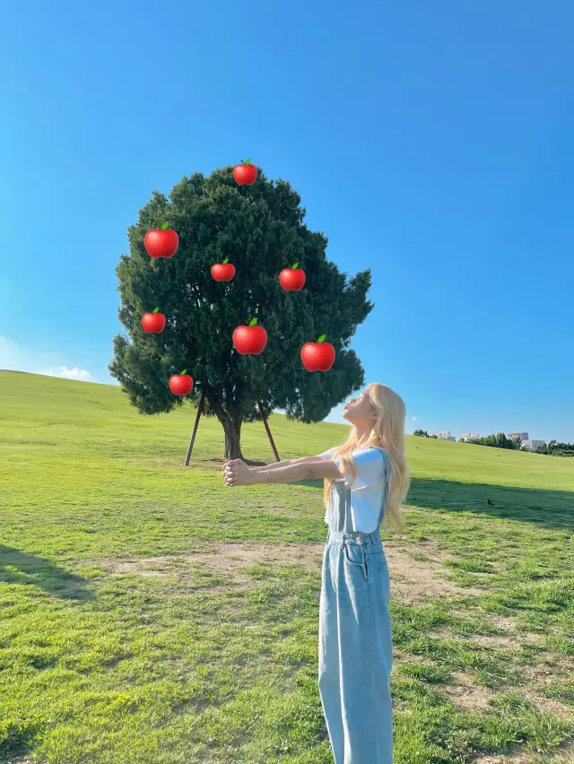 [올림픽공원]나홀로 나무의 원조 폼 미쳤따🌳