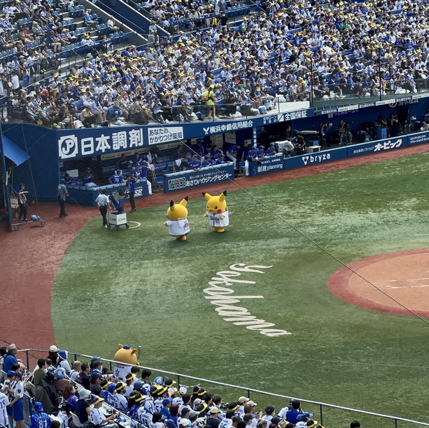 Yokohama] The entire stadium is painted yellow! Yokohama Stadium