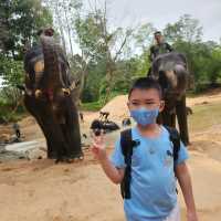 Kenyir Elephant Conservation Village