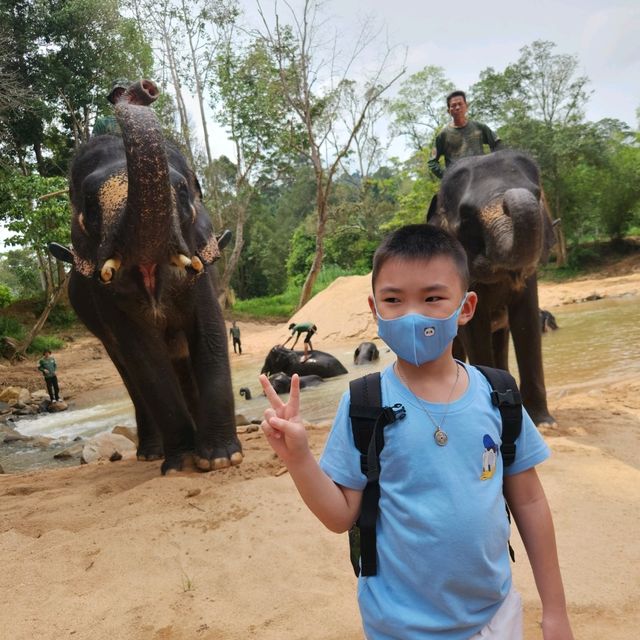 Kenyir Elephant Conservation Village
