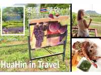 🇹🇭葡萄酒莊園🍇🍷