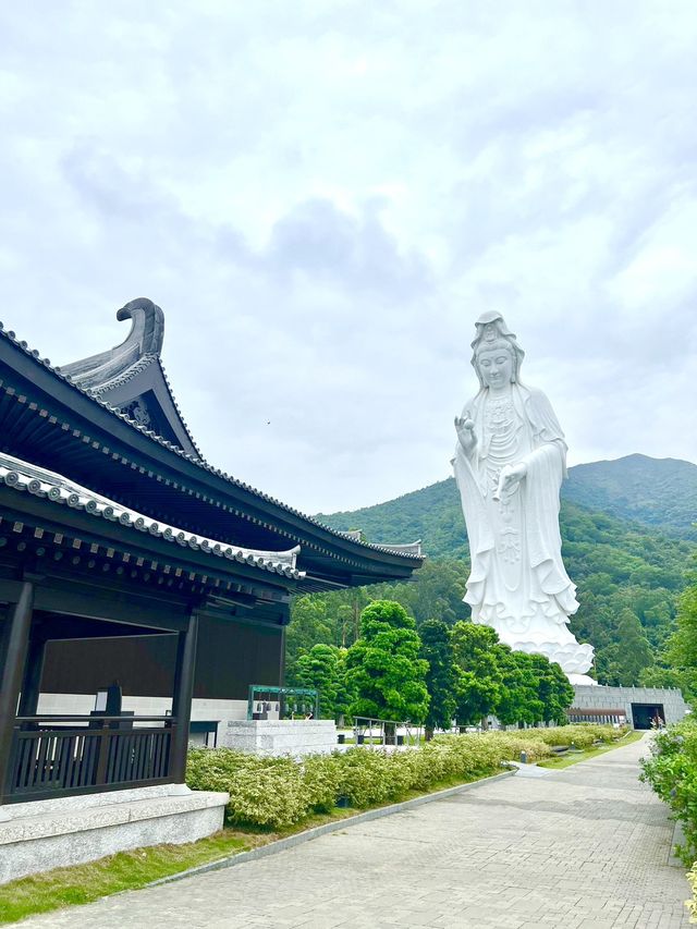 TSZ Shan Monastery📍Hong Kong