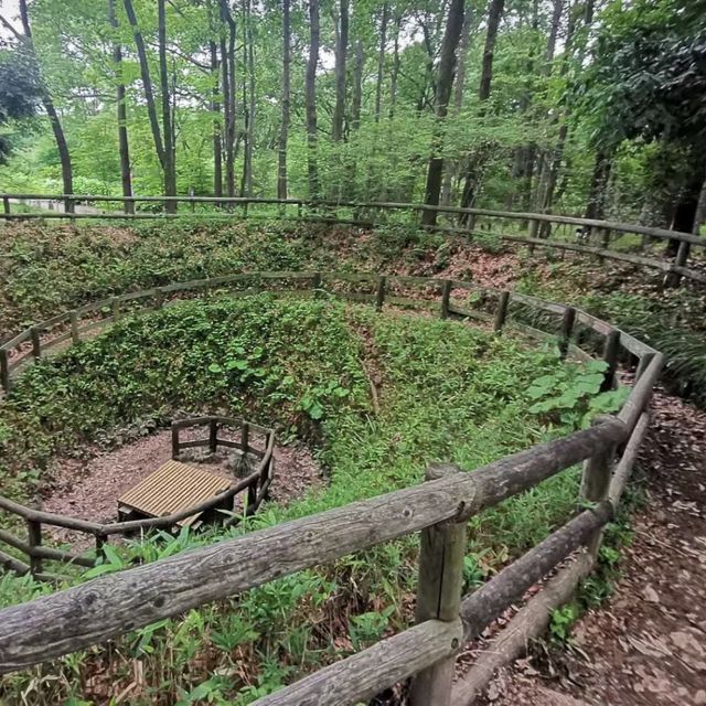 時光穿梭！鄉土之森博物館感受懷舊風情！🏞️🏚️🌸