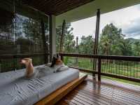 โรงแรม 5 ดาวติดภูเขาใกล้ธรรมชาติ
