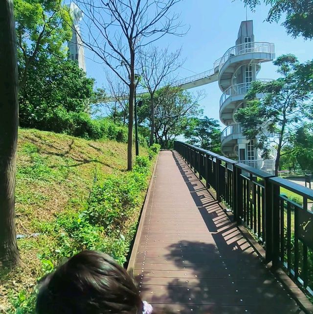岡山之眼登高遠眺水庫美景