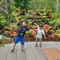 Singapore's Largest Bird Paradise 🦜🐦