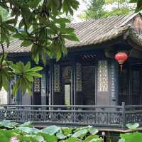 🏯🌸 禪意園林美境～清暉園博物館🍃🎋
