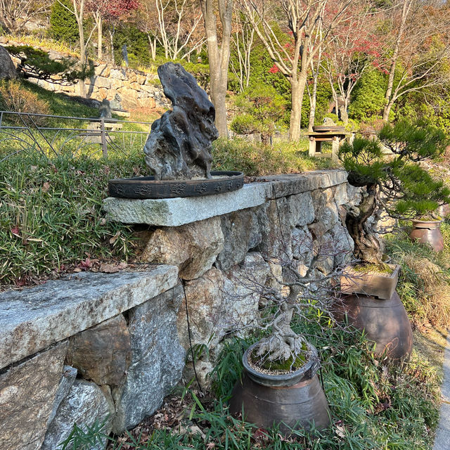 Hwadam Forest: The Backyard We All Want! 