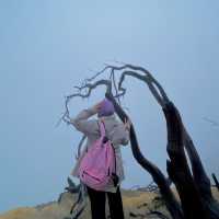Scenery Trip Backpack Surabaya 4 day 3 night